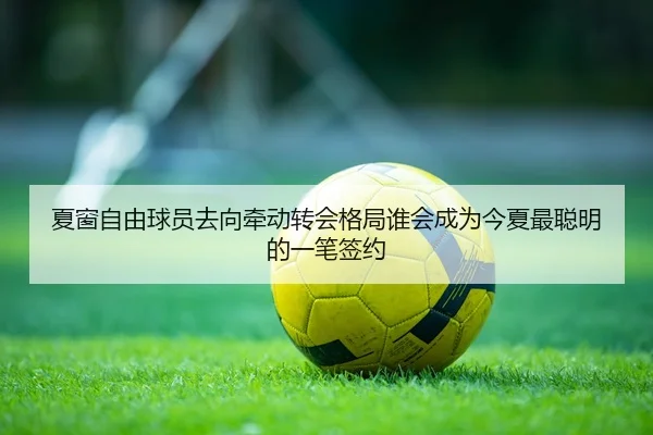 夏窗自由球员去向牵动转会格局谁会成为今夏最聪明的一笔签约